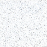 IDD700 White Pearl Glitter thermal transfer film / iDigit