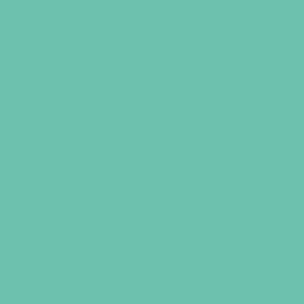 BF788 Mint Green Premium Flex heat transfer vinyl / B-flex