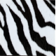 Fantasy Flex Zebra 10 termal transfer film / SEF Textile