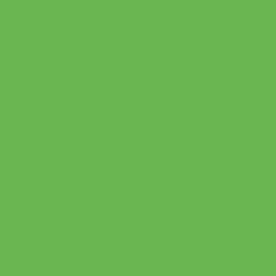 F754 Grass Green Gimme 5 Premium Flex heat transfer vinyl / B-flex