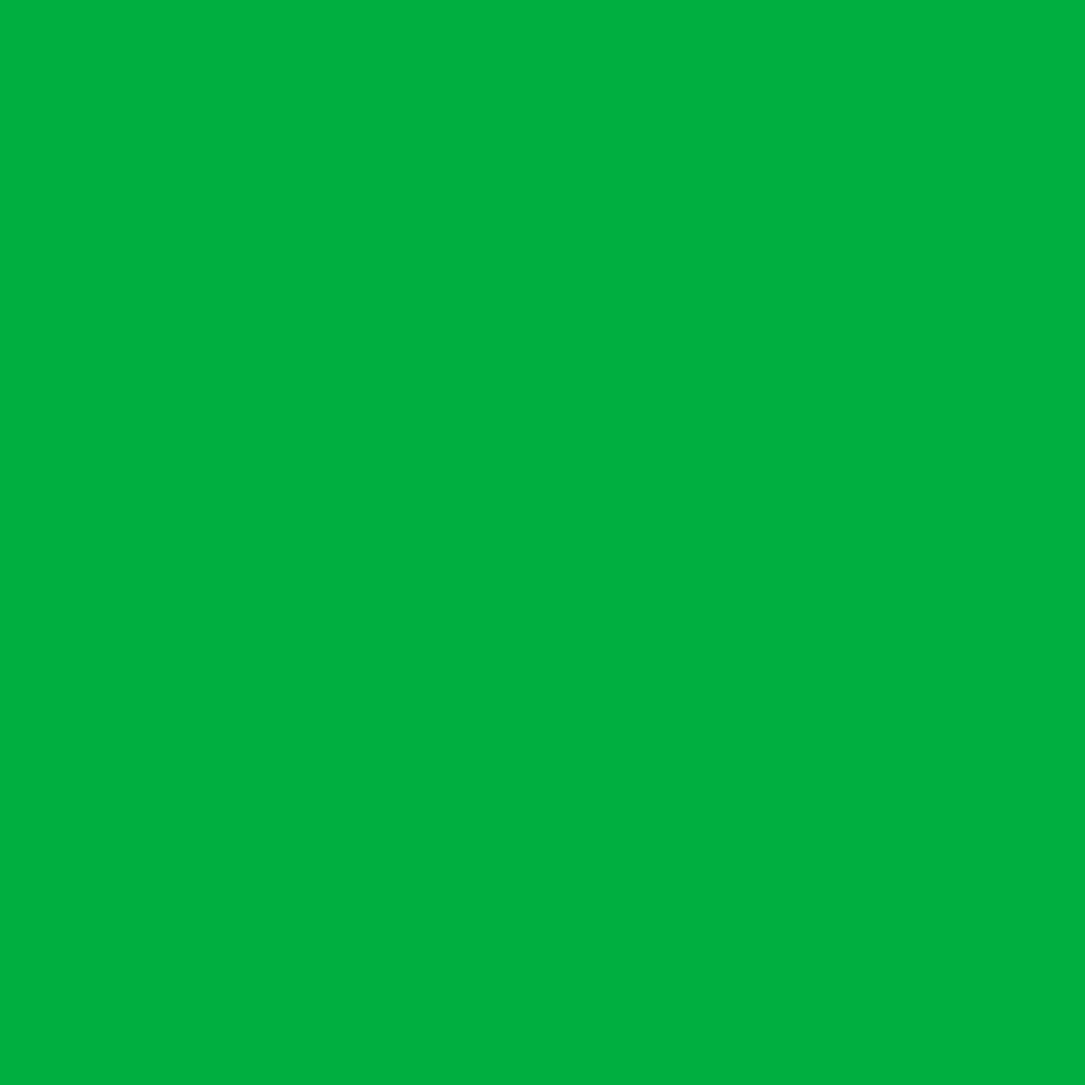 3045 Bright Green 3-5years old self-adhesive plotter vinyl gloss / Kemica